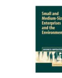 Ebook Small and medium-sized enterprises and the environment: Business imperatives - Part 1