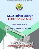 Giáo trình Thực hành sản xuất (Nghề Vận hành cần, cầu trục - Trình độ Trung cấp) - CĐ GTVT Trung ương I