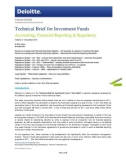 Technical Brief For Investment Funds