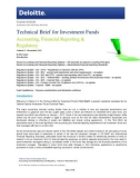 TECHNICAL BRIEF FOR INVESTMENT FUNDS: ACCOUNTING, FINANCIAL REPORTING & REGULATORY ( VOLUME 5)