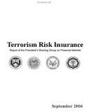 Terrorism Risk Insurance: Report of the President's Working Group on Financial Markets