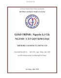 Giáo trình Nguyên lý cắt (Nghề: Cắt gọt kim loại - Trình độ CĐ/TC): Phần 1 - Trường Cao đẳng Nghề An Giang