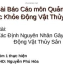 Bài báo cáo môn Quản lý sức khỏe động vật thủy sản: xác định nguyên nhân gây bệnh động vật thủy sản