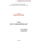 Cẩm nang về ngành lâm nghiệp-Chương: Đát và dinh dưỡng đất