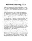 Nuôi tu hài thương phẩm