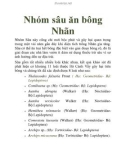 Nhóm sâu ăn bông Nhãn