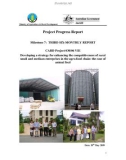 Dự án nông nghiệp Developing a strategy for enhancing the competitiveness of rural small and medium enterprises in the agro-food chain: the case of animal feed (Milestone 7) 