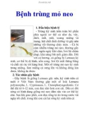 Bệnh trùng mỏ neo