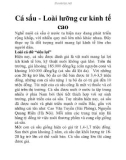 Cá sấu - Loài lưỡng cư kinh tế cao