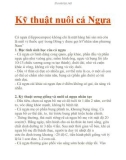 Kỹ thuật nuôi cá Ngựa