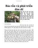 Bảo tồn và phát triển đàn dê