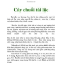 Cây chuối tài lộc