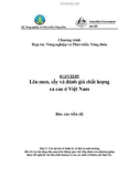 Báo cáo nghiên cứu nông nghiệp Lên men, sấy và đánh giá chất lượng ca cao ở Việt Nam - Các lợi ích về kinh tế, xã hội và môi trường đối với các hộ nông dân mục tiêu thông qua việc tiếp nhận các phương pháp được đề nghị để cải tiến chất lượng ca cao (so sánh với khảo sát thực tế)