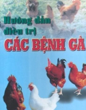 Điều trị các bệnh ở gà