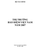 Thị trường bảo hiểm việt nam năm 2007