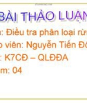 Điều tra phân loại rừng