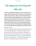 Tác dụng của vôi trong nuôi thủy sản