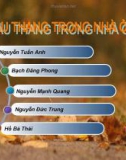 Cầu thang trong nhà