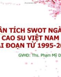 PHÂN TÍCH SWOT NGÀNH CAO SU VIỆT NAM GIAI ĐOẠN TỪ 1995 - 2008