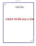 CHĂN NUÔI GIA CẦM