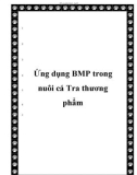 Ứng dụng BMP trong nuôi cá Tra thương phẩm