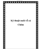 Kỹ thuật nuôi vỗ cá Chẽm