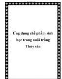 Ứng dụng chế phẩm sinh học trong nuôi trồng Thủy sản