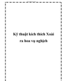 Kỹ thuật kích thích Xoài ra hoa vụ nghịch