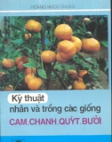 Phương pháp nhân và trồng các giống cam, chanh, quýt, bưởi