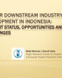 RUBBER DOWNSTREAM INDUSTRY DEVELOPMENT IN INDONESIA: CURRENT STATUS, OPPORTUNITIES AND CHALLENGES