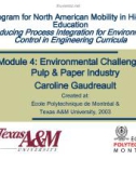 Environmental Challenges – Pulp & Paper Industry Caroline Gaudreault