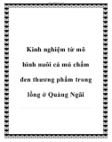 Kinh nghiệm từ mô hình nuôi cá mú chấm đen thương phẩm trong lồng ở Quảng Ngãi