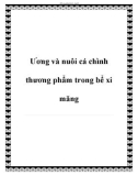 Ương và nuôi cá chình thương phẩm trong bể xi măng