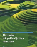 Thị trường trái phiếu Việt Nam năm 2018: Phần 1