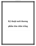 Các kỹ thuật nuôi thương phẩm tôm chân trắng