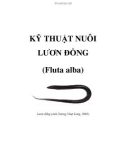 KỸ THUẬT NUÔI LƯƠN ĐỒNG (Fluta alba)