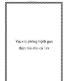 Vacxin phòng bệnh gan thận mủ cho cá Tra