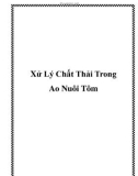 Xử Lý Chất Thải Trong Ao Nuôi Tôm