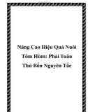 Nâng Cao Hiệu Quả Nuôi Tôm Hùm: Phải Tuân Thủ Bốn Nguyên Tắc