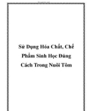 Sử Dụng Hóa Chất, Chế Phẩm Sinh Học Đúng Cách Trong Nuôi Tôm