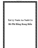 Xử Lý Nước Ao Nuôi Cá Rô Phi Bằng Rong Biển