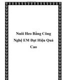 Nuôi Heo Bằng Công Nghệ EM Đạt Hiệu Quả Cao