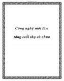 Công nghệ mới làm tăng tuổi thọ cà chua