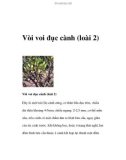 Vòi voi đục cành (loài 2)