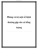 Phòng và trị một số bệnh thường gặp cho cá bống tượng