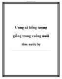 Ương cá bống tượng giống trong vuông nuôi tôm nước lợ