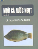 Nuôi cá rô phi