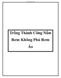 Trồng Thành Công Nấm Rơm Không Phủ Rơm Áo