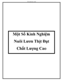 Một Số Kinh Nghiệm Nuôi Lươn Thịt Đạt Chất Lượng Cao