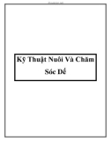 Kỹ Thuật Nuôi Và Chăm Sóc Dế